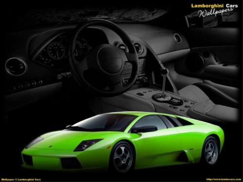Lamborgini